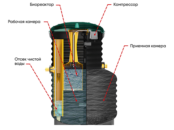 3 (12)_600.jpg